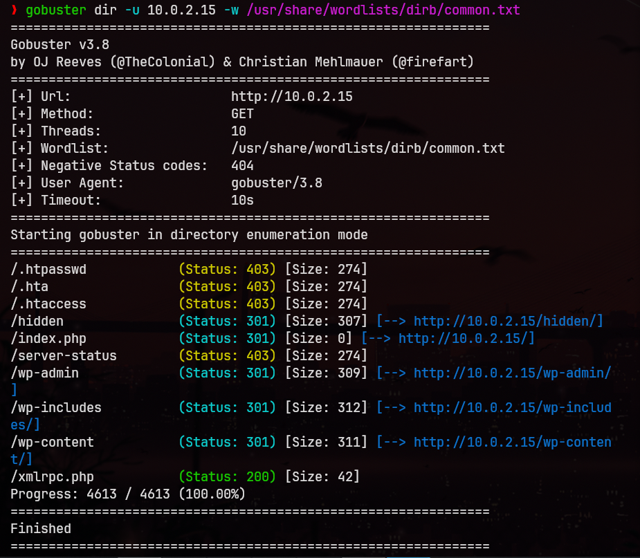 Directory Bruteforce