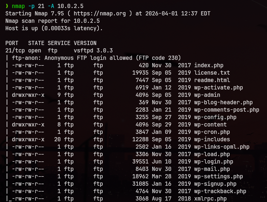 nmap_ftp